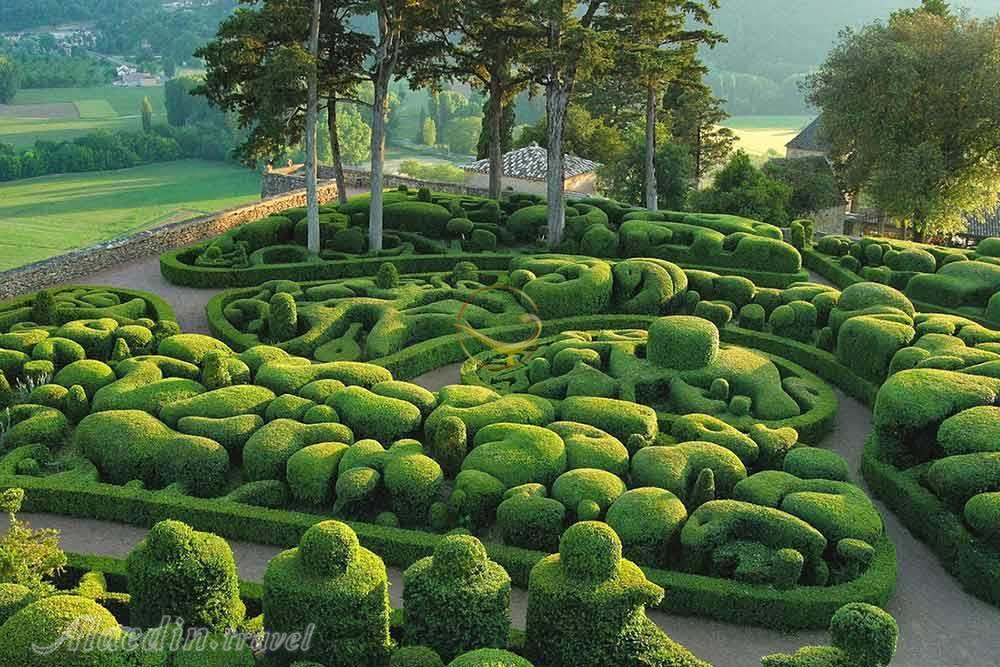 باغ گیاه شناسی پورت لوئیس - موریس | علاءالدین تراول