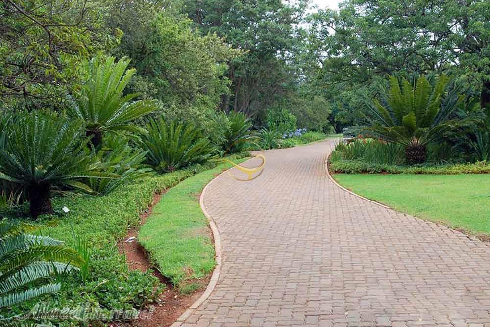 باغ ملی گیاه شناسی پرتوریا | علاءالدین تراول