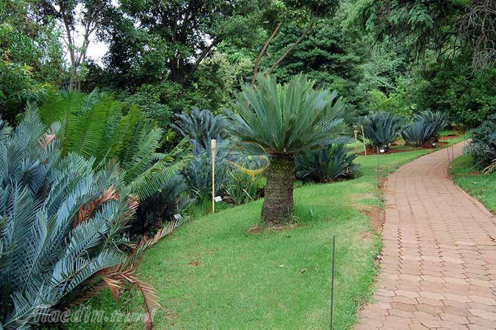 باغ ملی گیاه شناسی پرتوریا | علاءالدین تراول