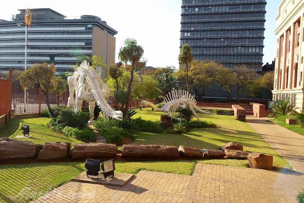 موزه ترنسوال (موزه ملی تاریخ طبیعی دیتسانگ) پرتوریا | علاءالدین تراول