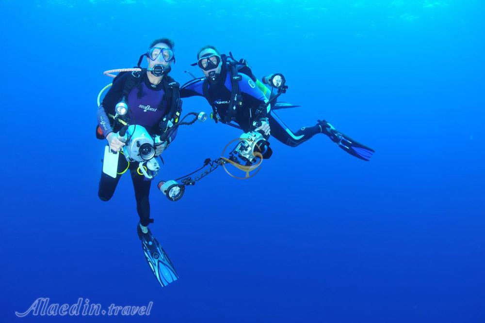 کلوپ دریایی دلفین مرجان قشم | علاءالدین تراول