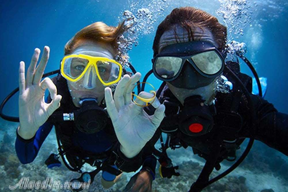 کلوپ دریایی دلفین مرجان قشم | علاءالدین تراول