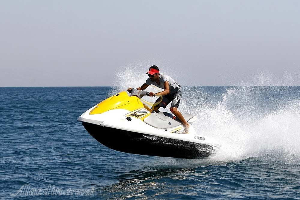 کلوپ دریایی دلفین مرجان قشم | علاءالدین تراول