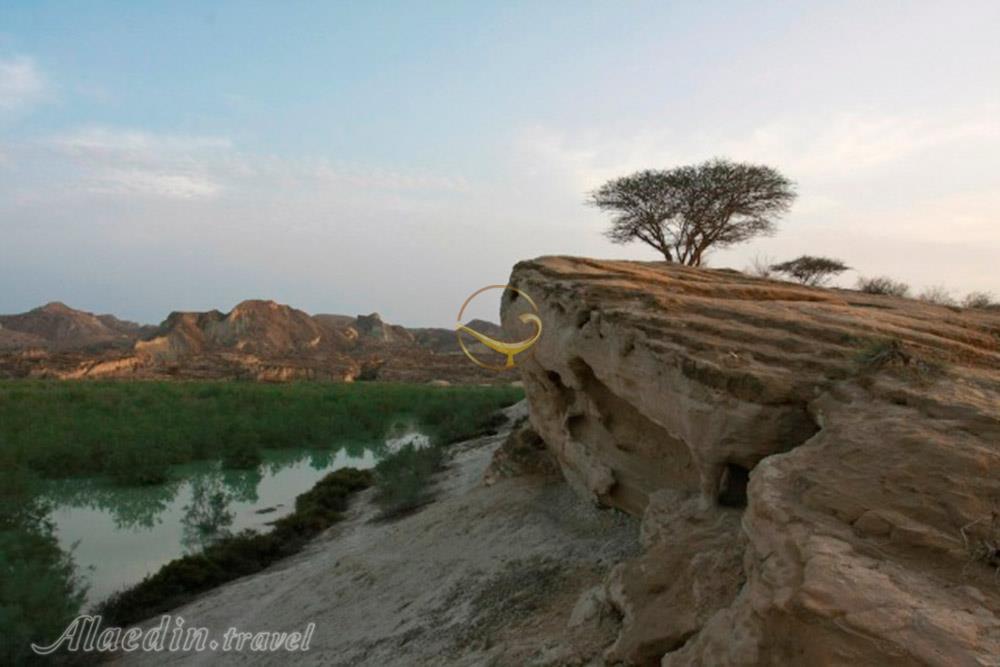 سد گوران قشم | علاءالدین تراول