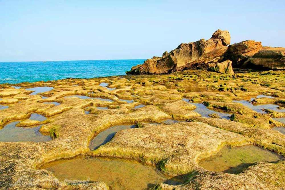 جزایر ناز قشم | علاءالدین تراول