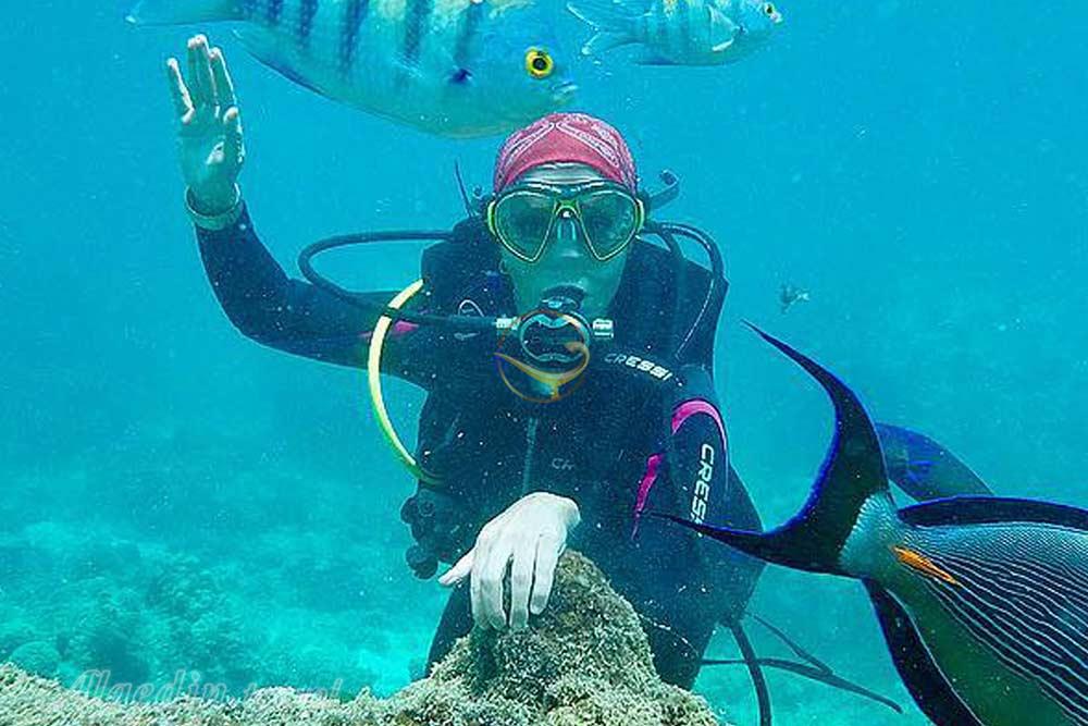 مرکز غواصی و تفریحات دریایی نگین ساحل قشم | علاءالدین تراول