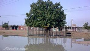 روستای توریان قشم