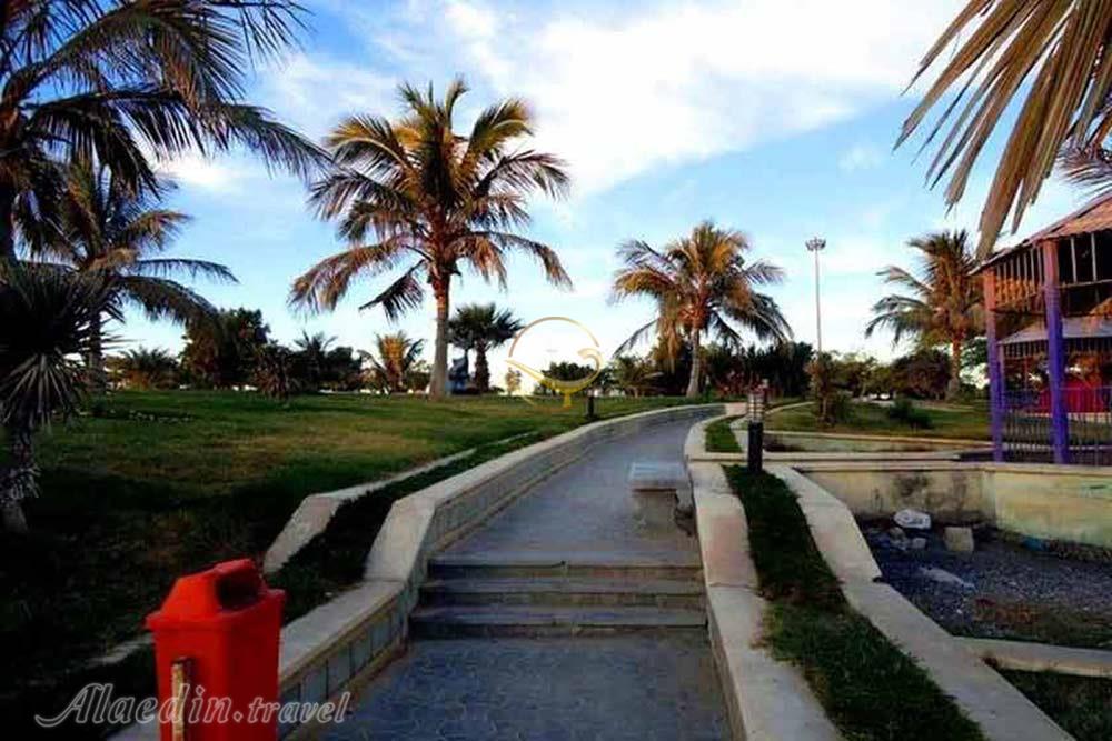 پارک زیتون قشم | علاءالدین تراول