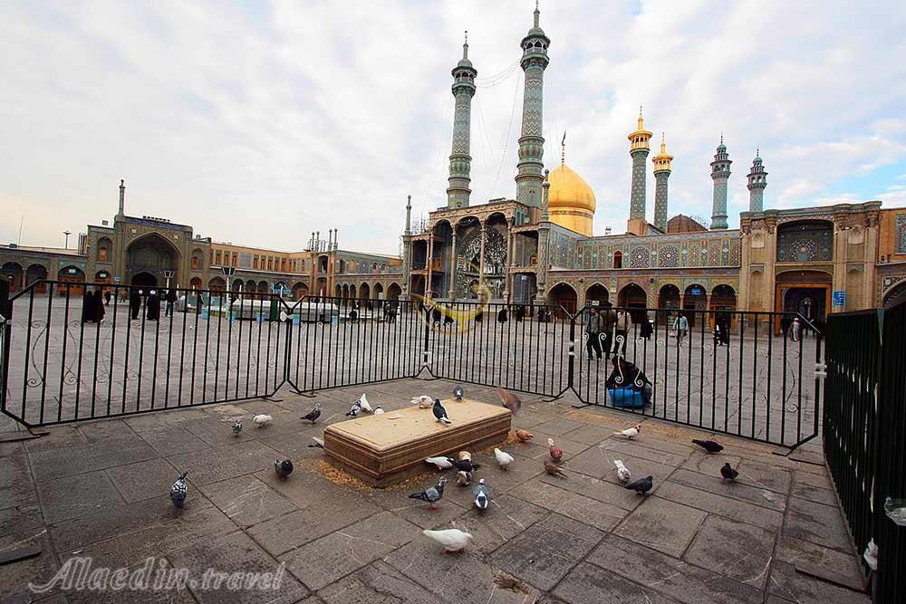 حرم حضرت فاطمه معصومه در قم | علاءالدین تراول