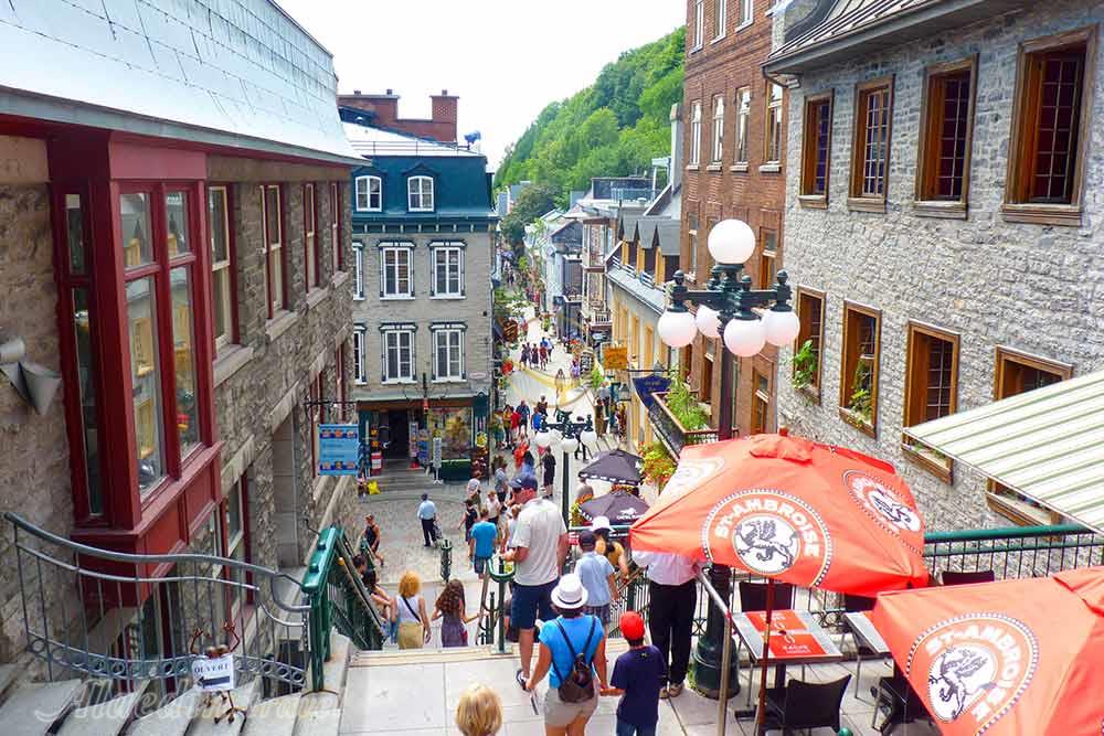 محله پتی شامپلن کبک | علاءالدین تراول