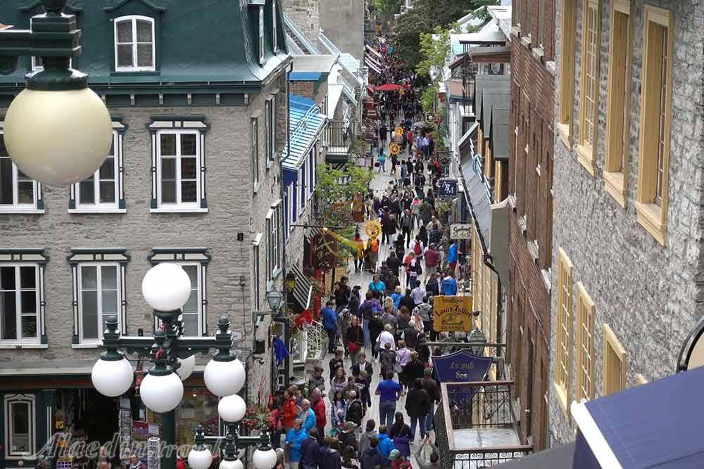 محله پتی شامپلن کبک | علاءالدین تراول