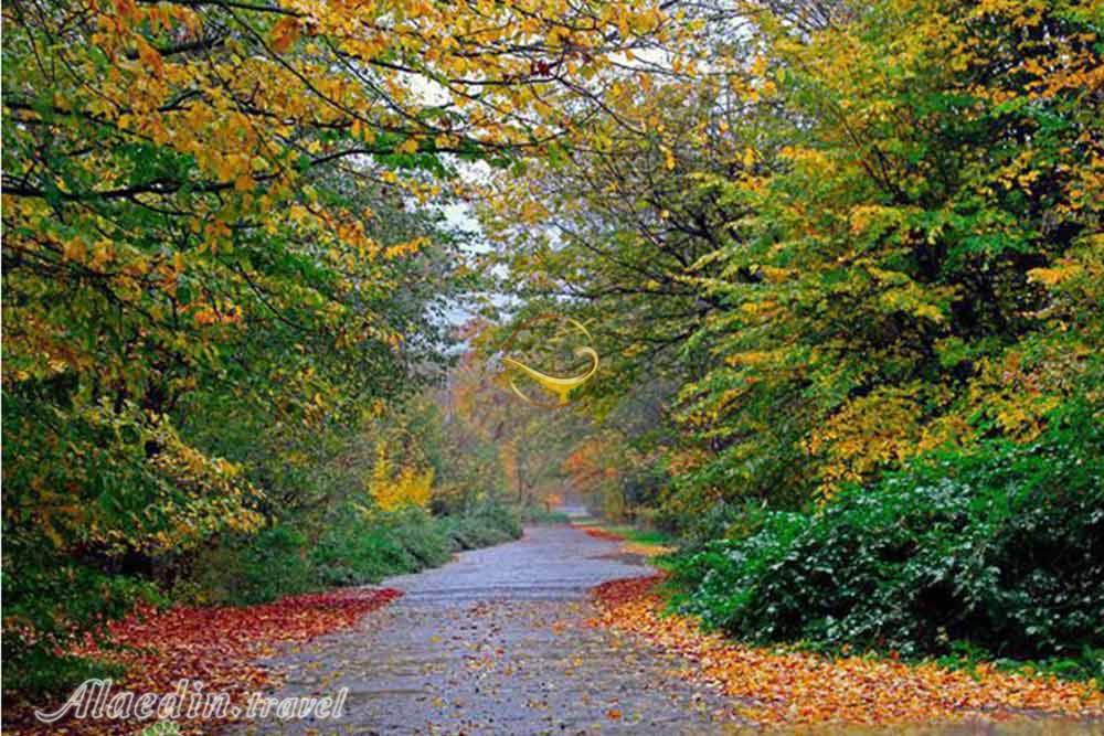 پارک جنگلی دلند رامیان | علاءالدین تراول