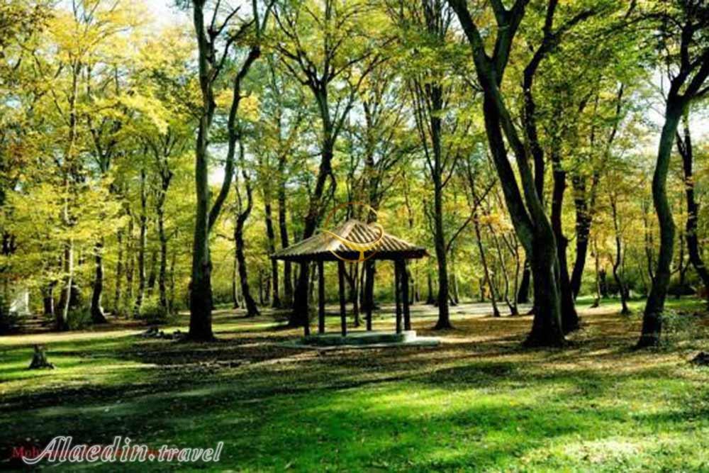 پارک جنگلی دلند رامیان | علاءالدین تراول