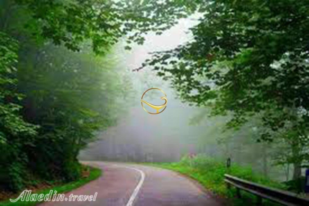 جنگل دالخانی رامسر | علاءالدین تراول