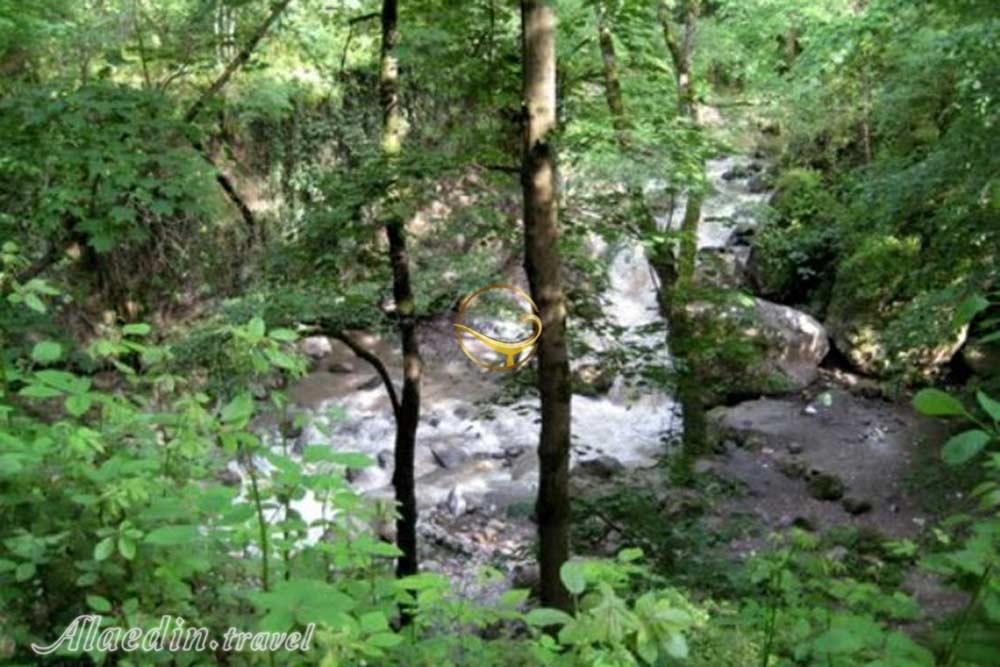 بوستان جنگلی صفارود رامسر | علاءالدین تراول