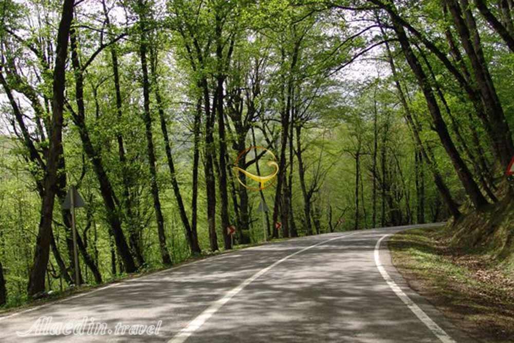 بوستان جنگلی صفارود رامسر | علاءالدین تراول