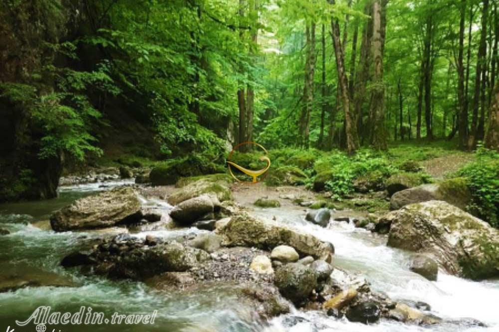 بوستان جنگلی صفارود رامسر | علاءالدین تراول