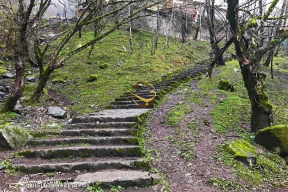 بوستان جنگلی صفارود رامسر | علاءالدین تراول