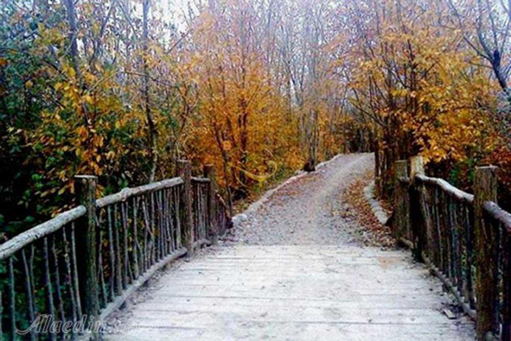 پارک جنگلی سراوان رشت | علاءالدین تراول