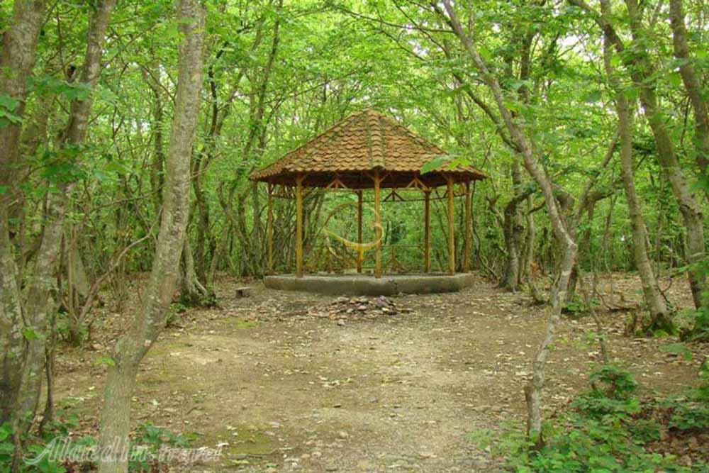 پارک جنگلی سراوان رشت | علاءالدین تراول