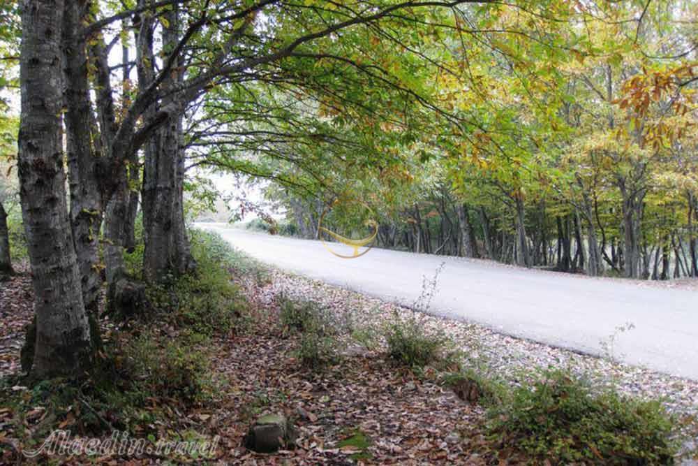 پارک جنگلی سراوان رشت | علاءالدین تراول