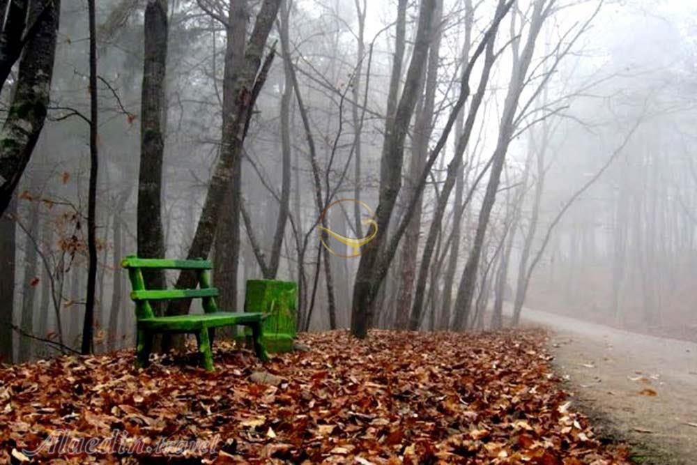 پارک جنگلی سراوان رشت | علاءالدین تراول