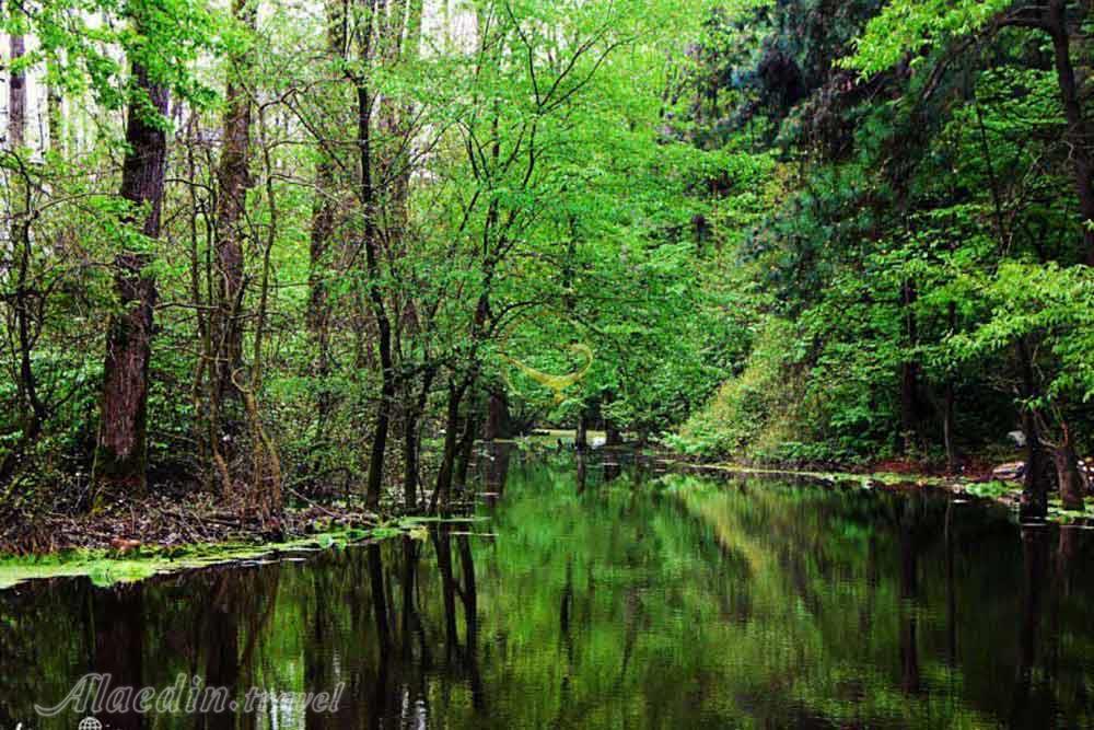 پارک جنگلی سراوان رشت | علاءالدین تراول