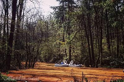 پارک جنگلی سراوان رشت