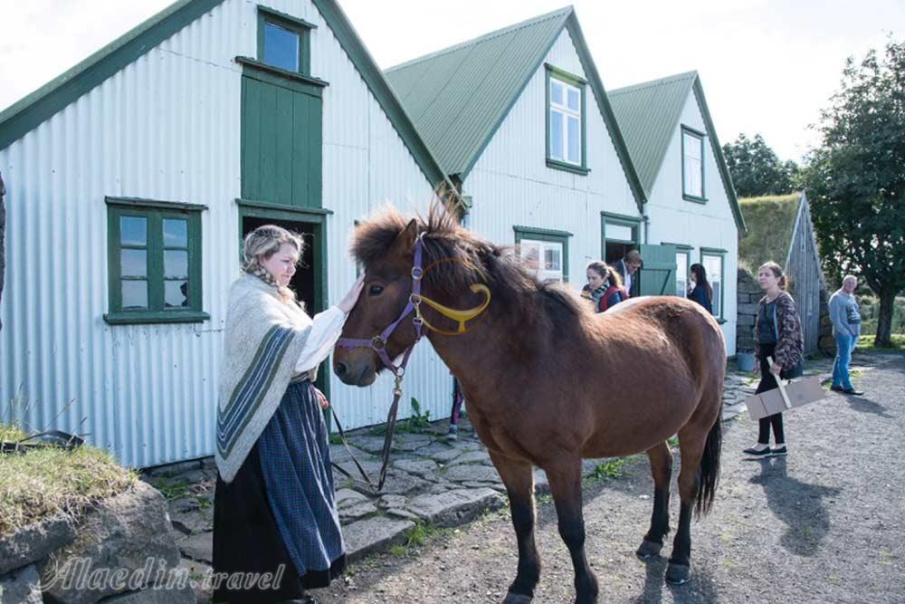 موزه فضای باز آربائر ریکیاویک - ایسلند | علاءالدین تراول