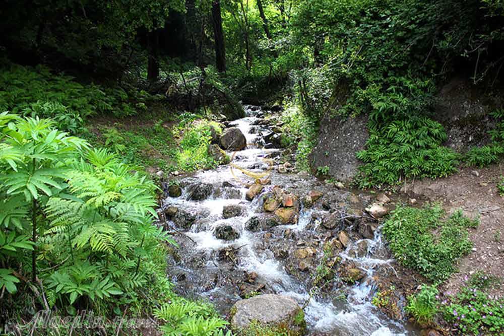 روستای ارده در رضوانشهر | علاءالدین تراول