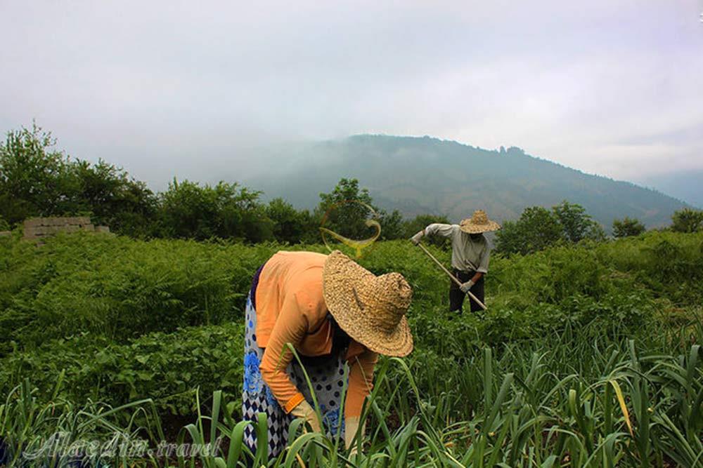 روستای ارده در رضوانشهر | علاءالدین تراول