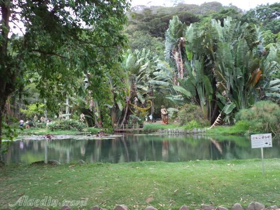 باغ گیاه شناسی جاردیم ریودوژانیرو- برزیل | علاءالدین تراول