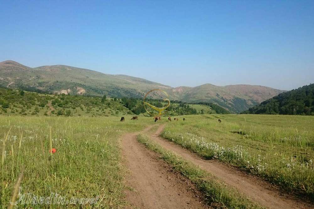 منطقه عمارلو رودبار | علاءالدین تراول