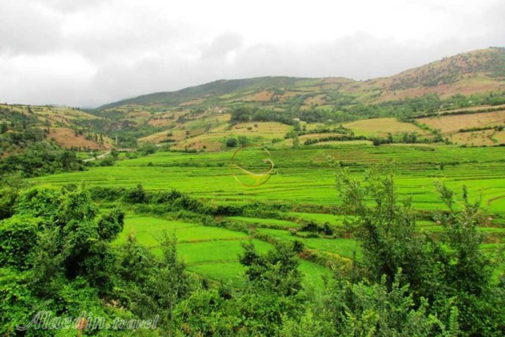 منطقه عمارلو رودبار | علاءالدین تراول