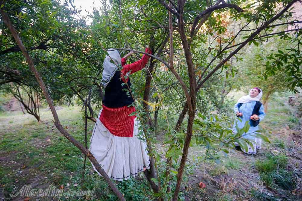 روستای تاریخی انبوه رودبار | علاءالدین تراول