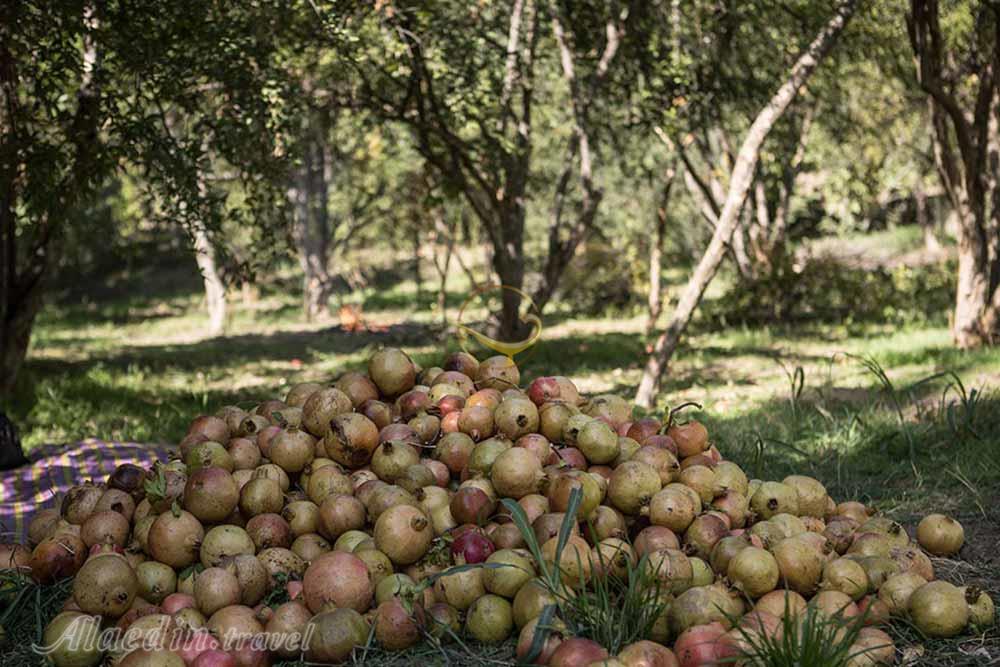 روستای تاریخی انبوه رودبار | علاءالدین تراول