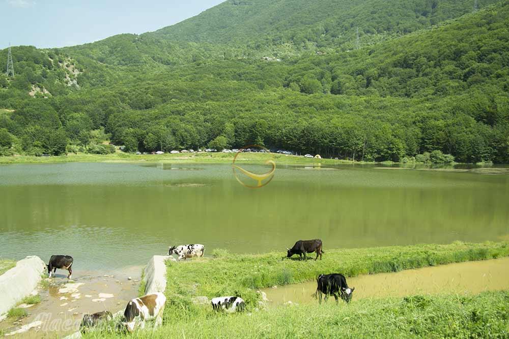 دریاچه و ییلاق بره سر رودبار | علاءالدین تراول