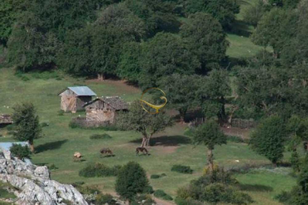 قله درفک در رودبار | علاءالدین تراول