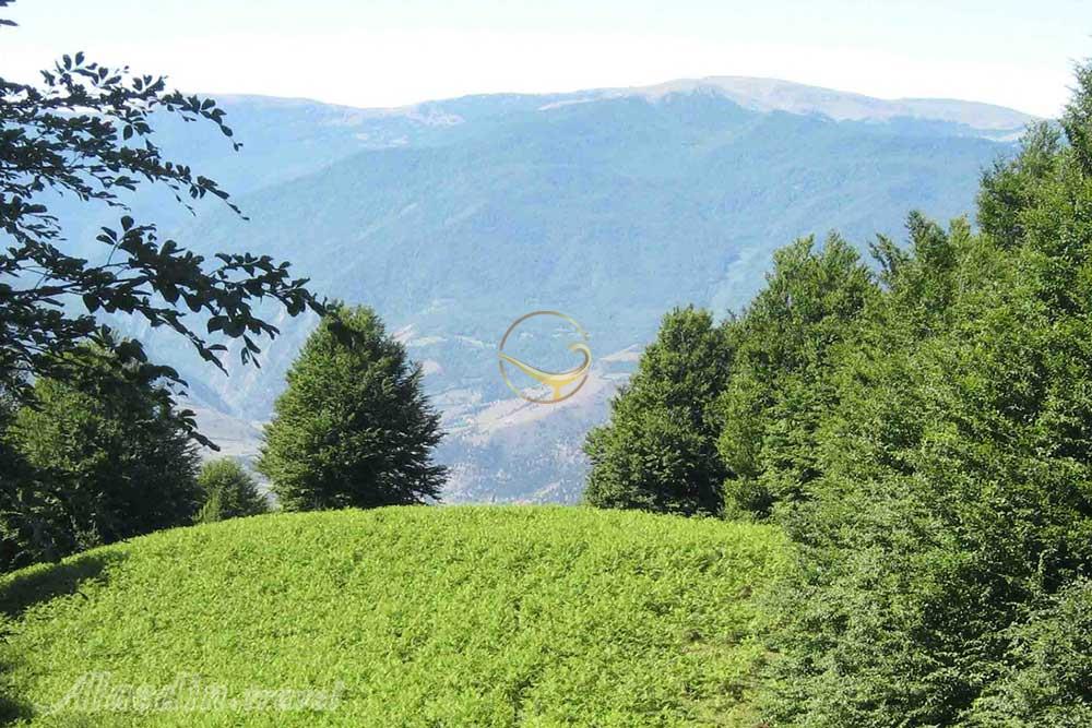 قله درفک در رودبار | علاءالدین تراول