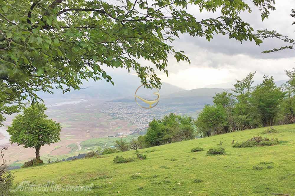 جنگل نقله بر رودبار | علاءالدین تراول