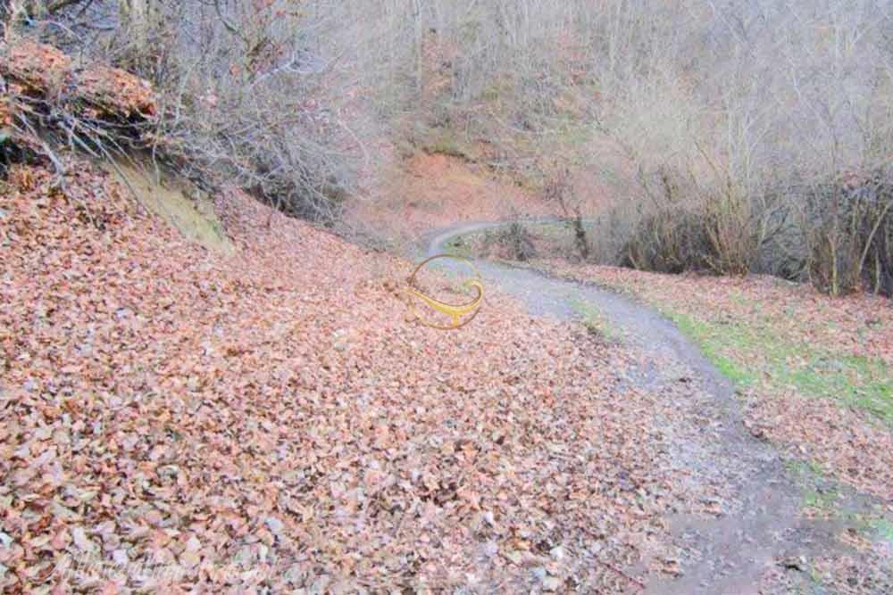 روستای اسکولک رودبار | علاءالدین تراول