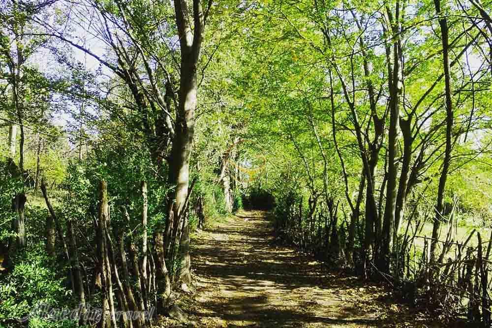 روستای اسکولک رودبار | علاءالدین تراول