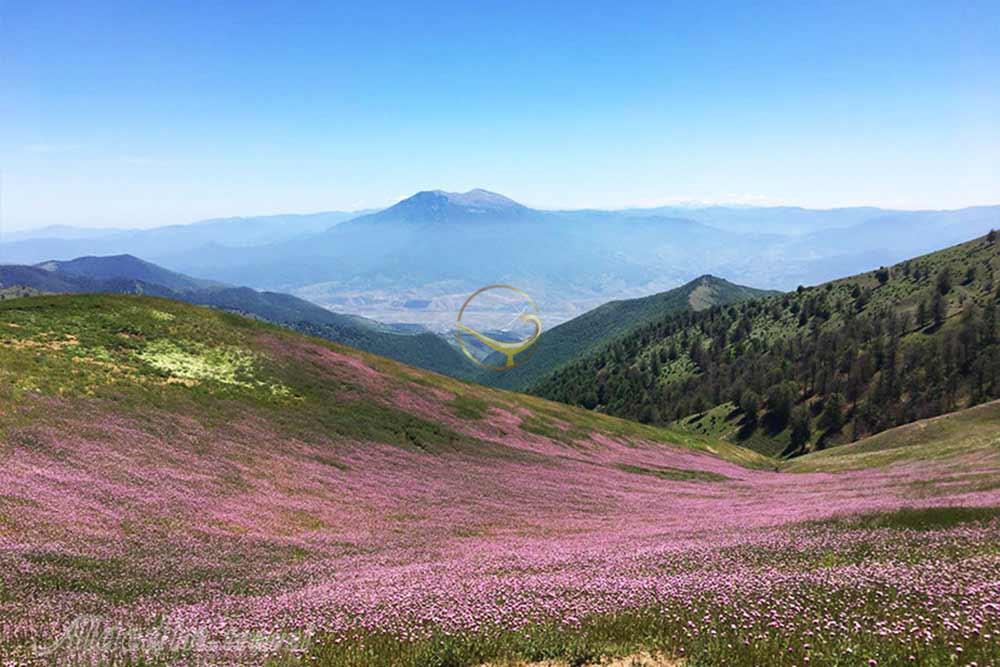 دهکده ییلاقی سلانسر در رودبار | علاءالدین تراول