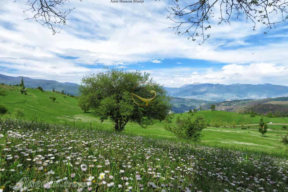 ییلاق سی دشت رودبار | علاءالدین تراول