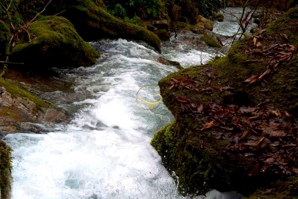 چشمه دمکش رودسر | علاءالدین تراول