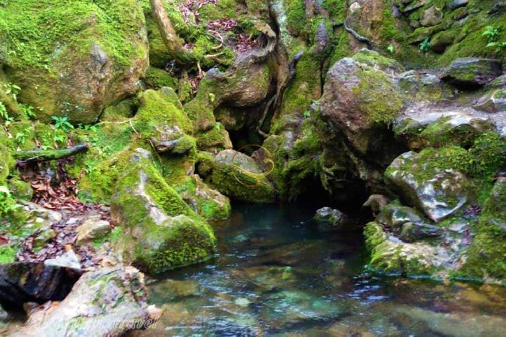 چشمه دمکش رودسر | علاءالدین تراول