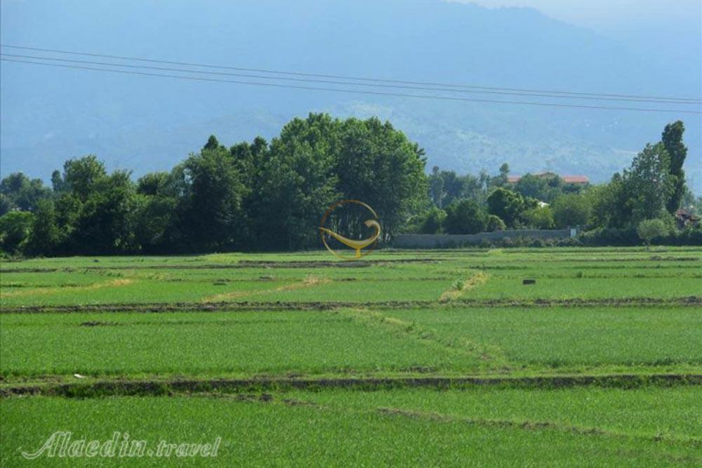 روستای حسن سرا رودسر | علاءالدین تراول