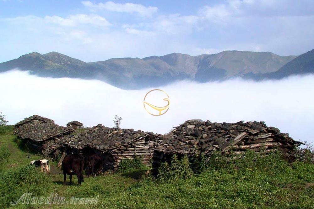 جواهردشت رودسر | علاءالدین تراول