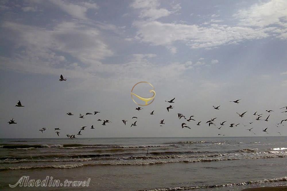 ساحل رامدشت رودسر | علاءالدین تراول