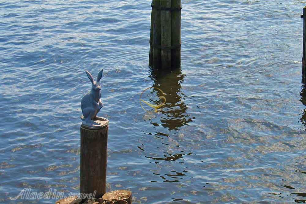 جزیره زایچی (خرگوش) سنت پترزبورگ روسیه | علاءالدین تراول